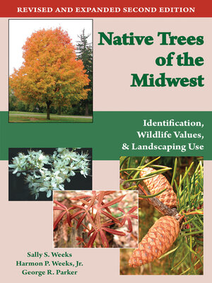 cover image of Native Trees of the Midwest